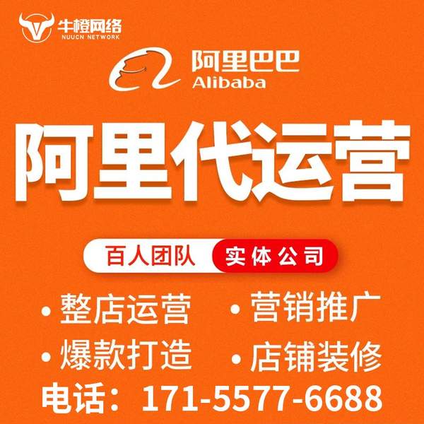 宁乡电商代运营