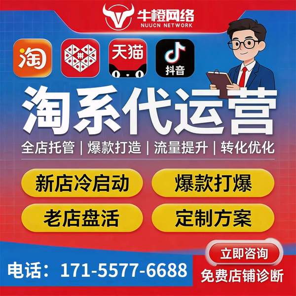 宁乡电商代运营