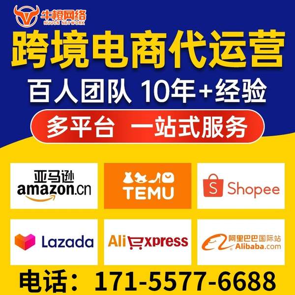 宁乡电商代运营