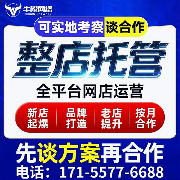 宁乡电商代运营