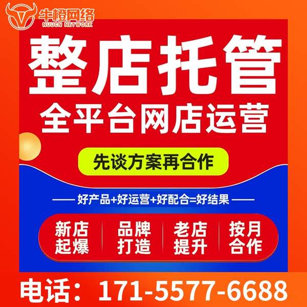 宁乡电商代运营