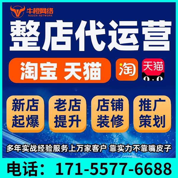 宁乡电商代运营