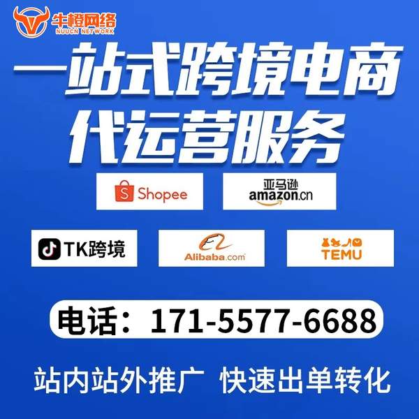 宁乡电商代运营