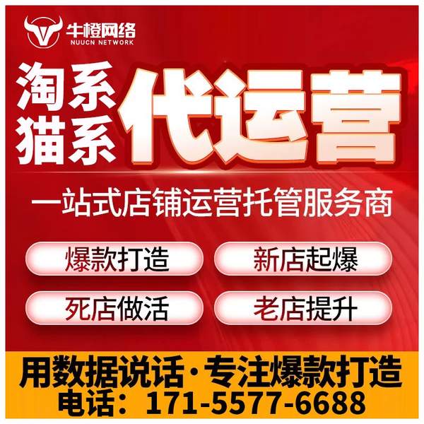 宁乡电商代运营